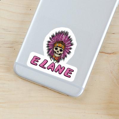 Elane Sticker Ladys Skull Notebook Image