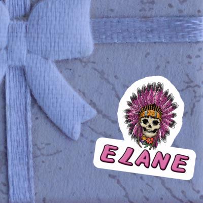 Elane Sticker Ladys Skull Notebook Image