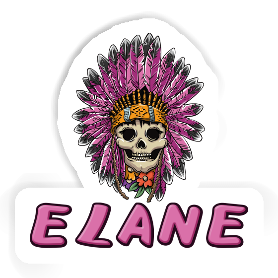 Elane Sticker Ladys Skull Notebook Image