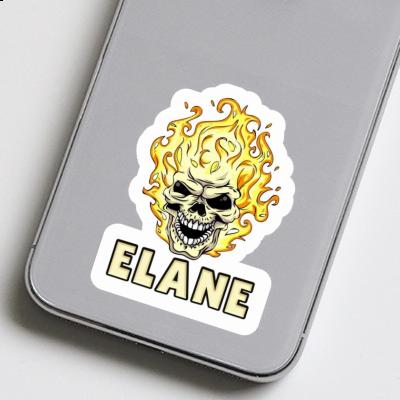 Autocollant Tête de mort Elane Image