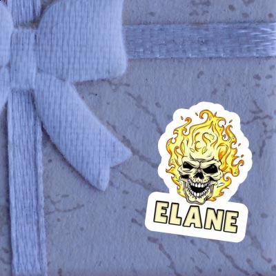 Aufkleber Totenkopf Elane Gift package Image