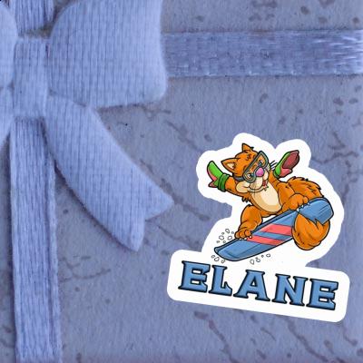 Snowboarder Sticker Elane Gift package Image