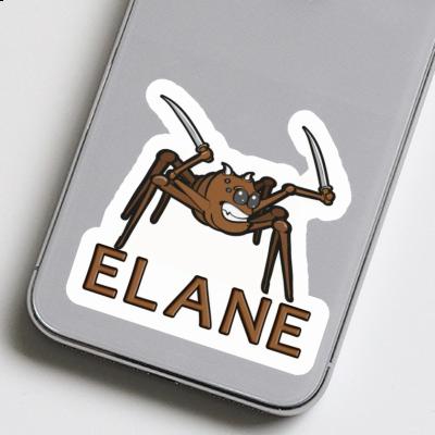 Fighting Spider Sticker Elane Image