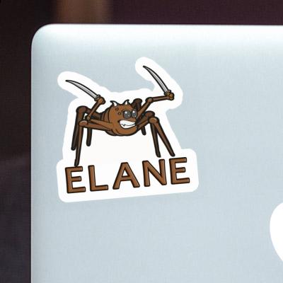 Fighting Spider Sticker Elane Image