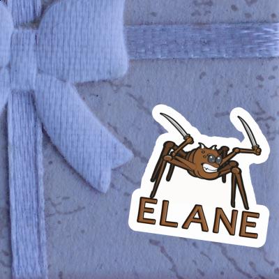 Fighting Spider Sticker Elane Image