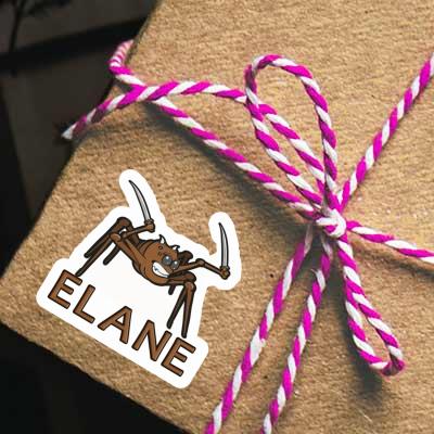 Aufkleber Kampfspinne Elane Gift package Image