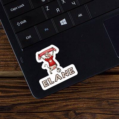 Sticker Elane Kuh Laptop Image