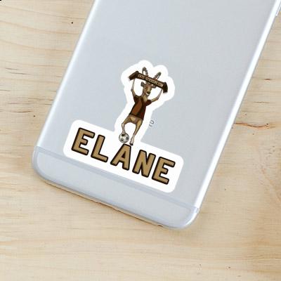 Elane Sticker Capricorn Laptop Image