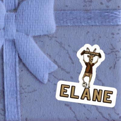 Elane Sticker Capricorn Gift package Image