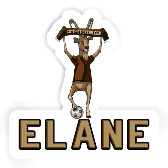 Elane Sticker Capricorn Gift package Image