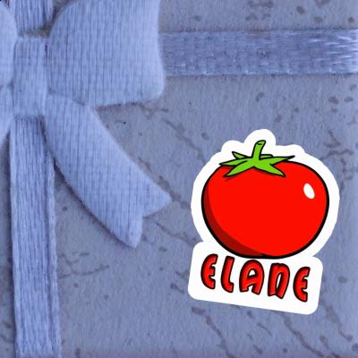 Aufkleber Tomate Elane Notebook Image