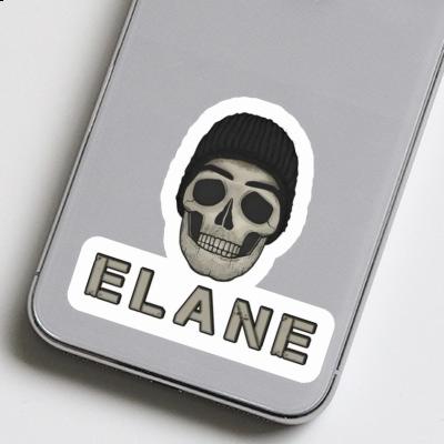 Elane Sticker Totenkopf Laptop Image