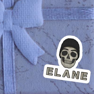 Elane Sticker Totenkopf Laptop Image