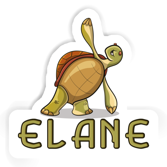 Sticker Elane Yoga Turtle Gift package Image