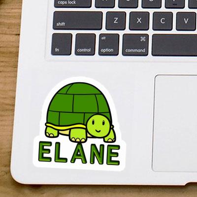 Sticker Schildkröte Elane Laptop Image