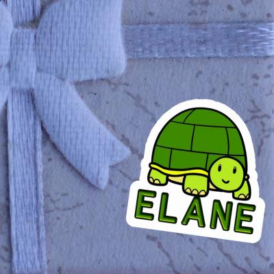 Sticker Schildkröte Elane Laptop Image