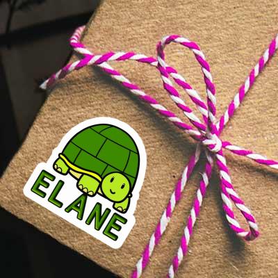 Autocollant Tortue Elane Gift package Image