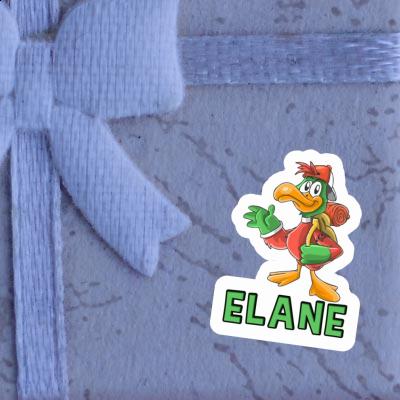 Elane Sticker Hiker Gift package Image