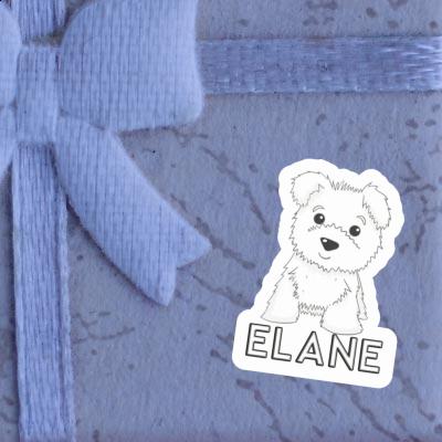 Sticker Elane Westie Laptop Image