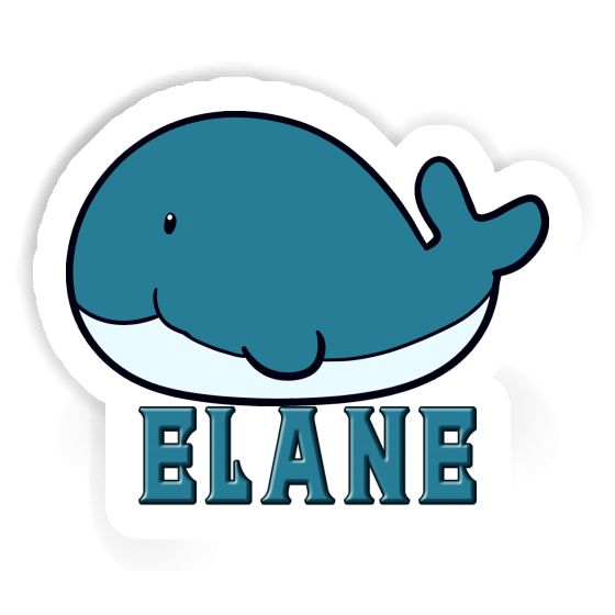 Whale Sticker Elane Gift package Image