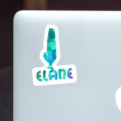 Windsurfer Sticker Elane Gift package Image