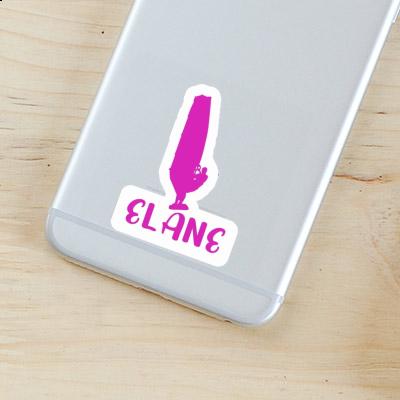 Sticker Windsurfer Elane Gift package Image