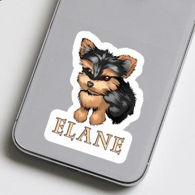 Autocollant Elane Yorkshire Terrier Image