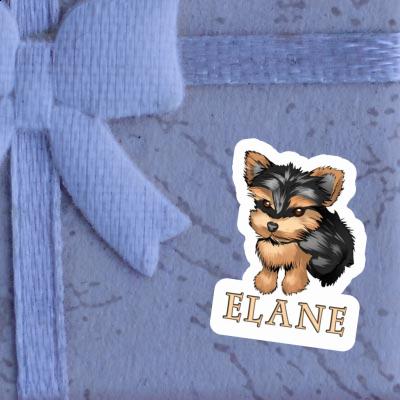 Autocollant Elane Yorkshire Terrier Notebook Image