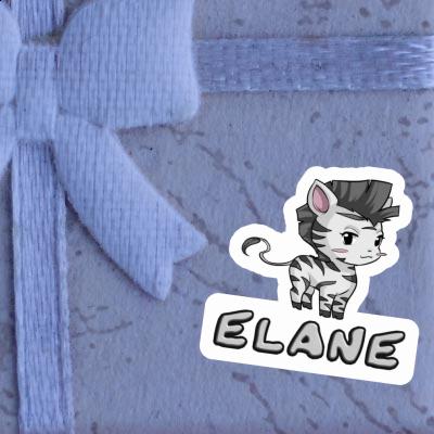 Zebra Sticker Elane Gift package Image