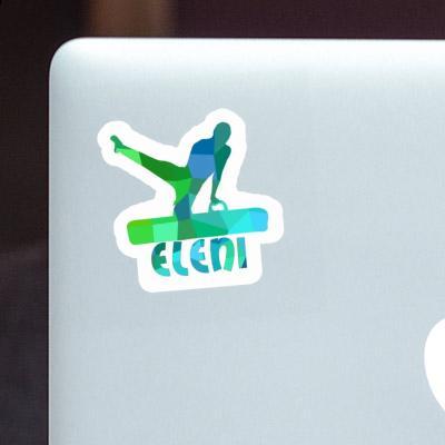 Eleni Sticker Turner Laptop Image