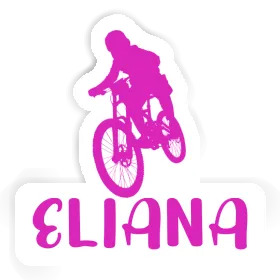 Freeride Biker Sticker Eliana Image