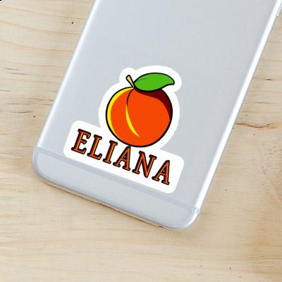 Sticker Eliana Aprikose Notebook Sticker Eliana Aprikose Gift package Image