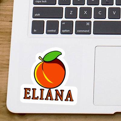 Apricot Sticker Eliana Notebook Apricot Sticker Eliana Gift package Image
