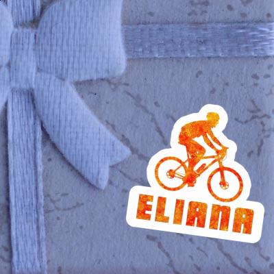 Aufkleber Eliana Biker Notebook Aufkleber Eliana Biker Gift package Image