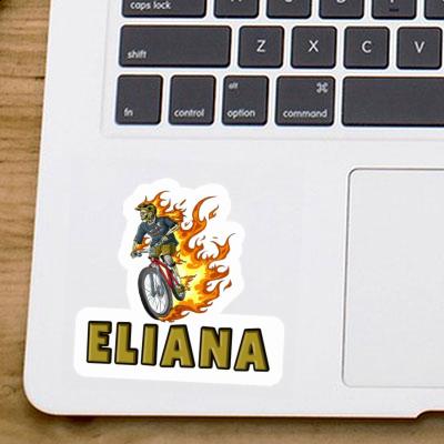 Vététiste Autocollant Eliana Gift package Image