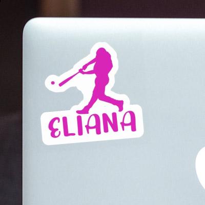 Eliana Autocollant Joueur de baseball Notebook Eliana Autocollant Joueur de baseball Gift package Image