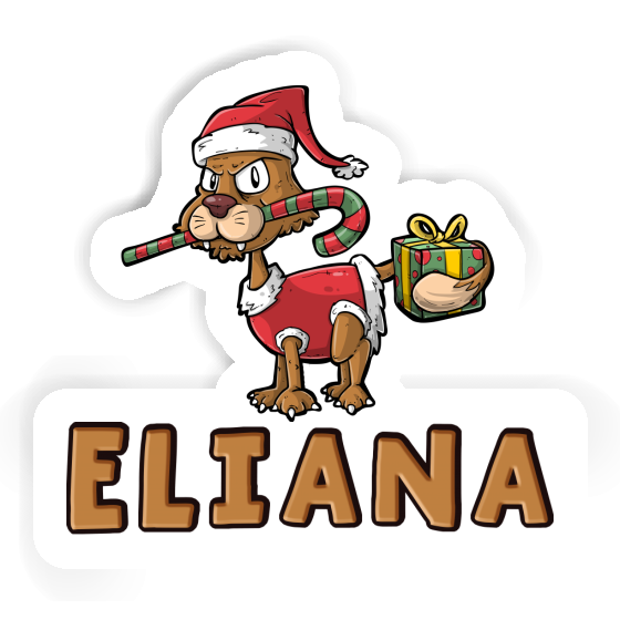 Eliana Sticker Cat Eliana Sticker Cat Image