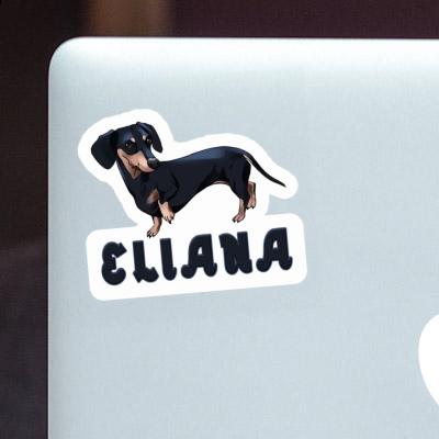 Eliana Aufkleber Dackel Gift package Image