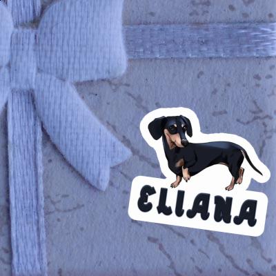 Eliana Aufkleber Dackel Gift package Image
