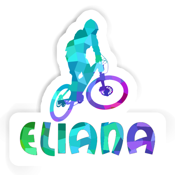 Sticker Eliana Downhiller Gift package Image