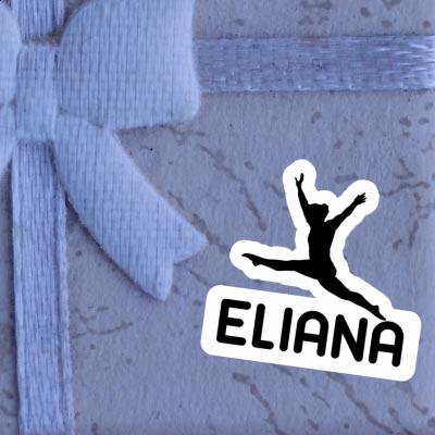 Eliana Autocollant Gymnaste Notebook Eliana Autocollant Gymnaste Notebook Image