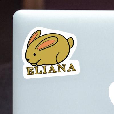 Eliana Autocollant Lapin Notebook Eliana Autocollant Lapin Gift package Image