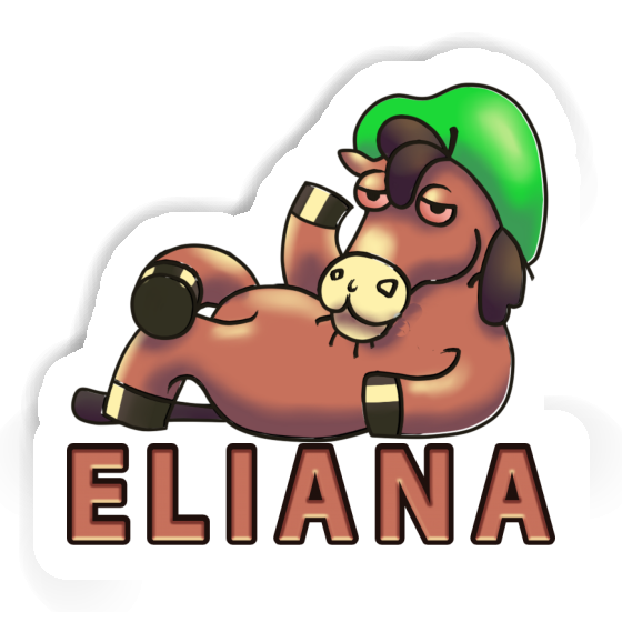 Horse Sticker Eliana Gift package Image