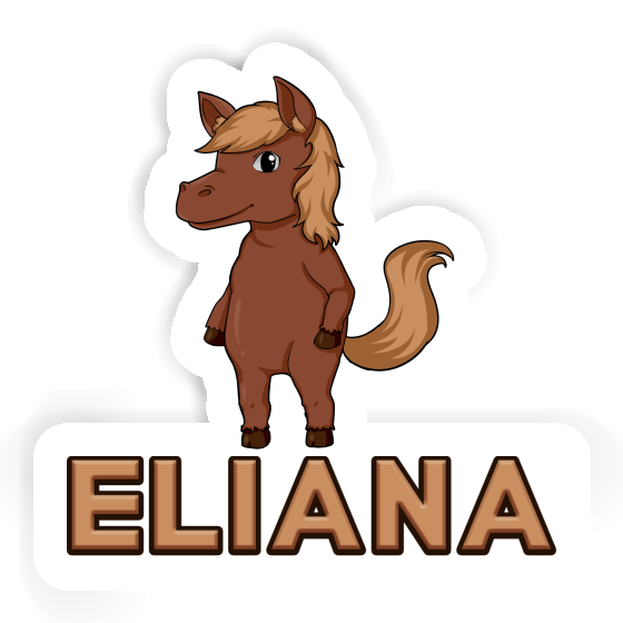 Cheval Autocollant Eliana Notebook Cheval Autocollant Eliana Gift package Image