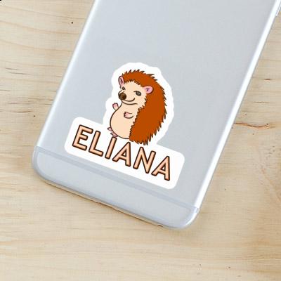 Hedgehog Sticker Eliana Notebook Hedgehog Sticker Eliana Gift package Image