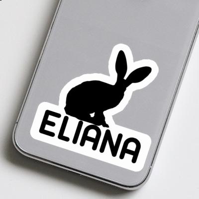 Autocollant Eliana Lapin Image