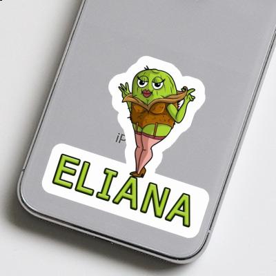 Sticker Kiwi Eliana Sticker Kiwi Eliana Image