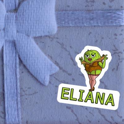 Sticker Kiwi Eliana Notebook Sticker Kiwi Eliana Gift package Image