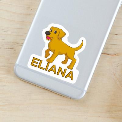 Labrador Autocollant Eliana Laptop Labrador Autocollant Eliana Laptop Image