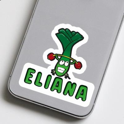 Aufkleber Eliana Lauch Aufkleber Eliana Lauch Image
